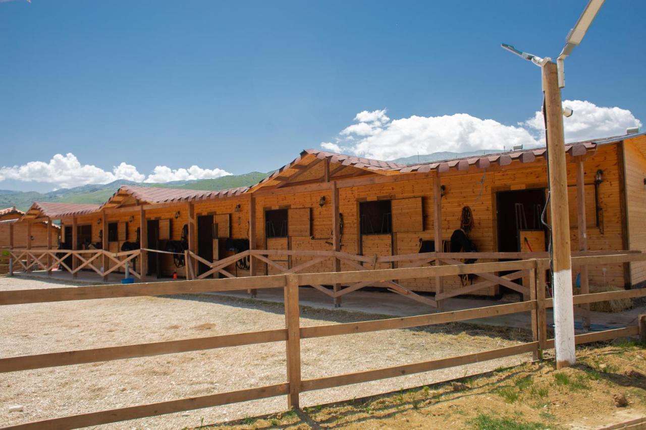 Sancho Farm Albania Memaliaj