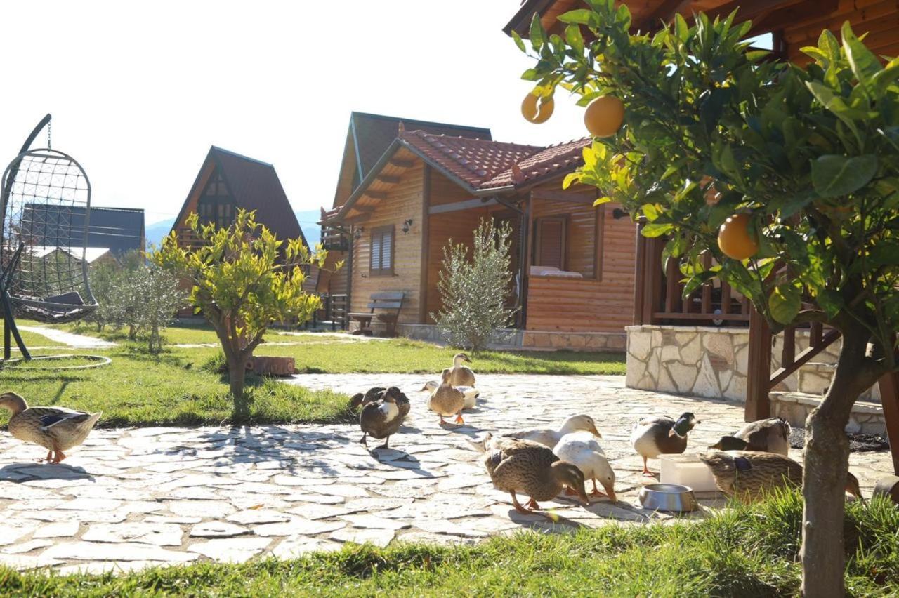 Sancho Farm Albania Villa *